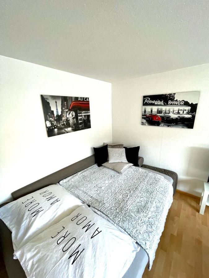 Nice And Comfortable, Centrally Located Apartment Rheinfelden  Luaran gambar